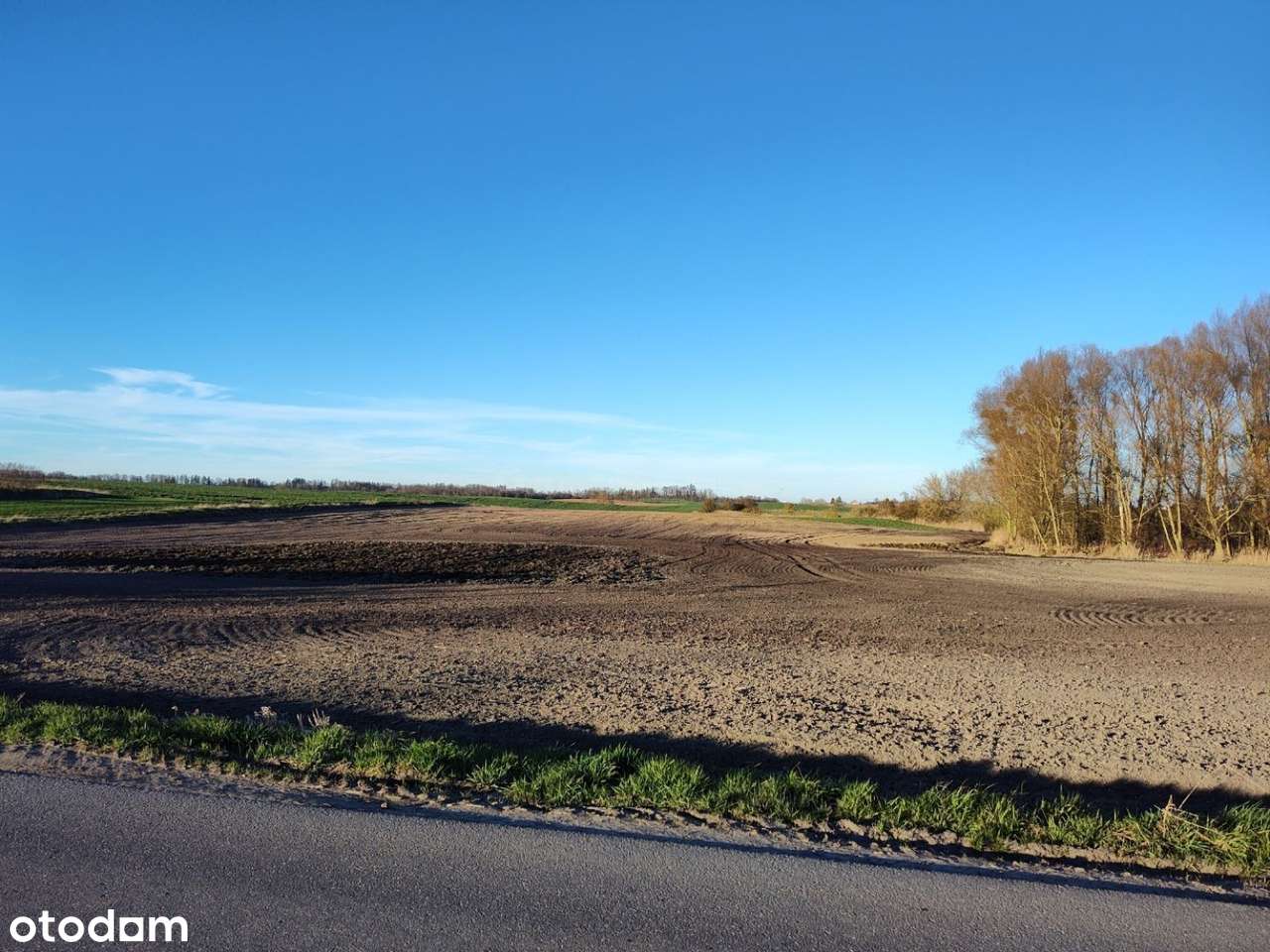 Grunty rolne dobrej klasy w Jankowicach - Pełny obrazek: 4/6