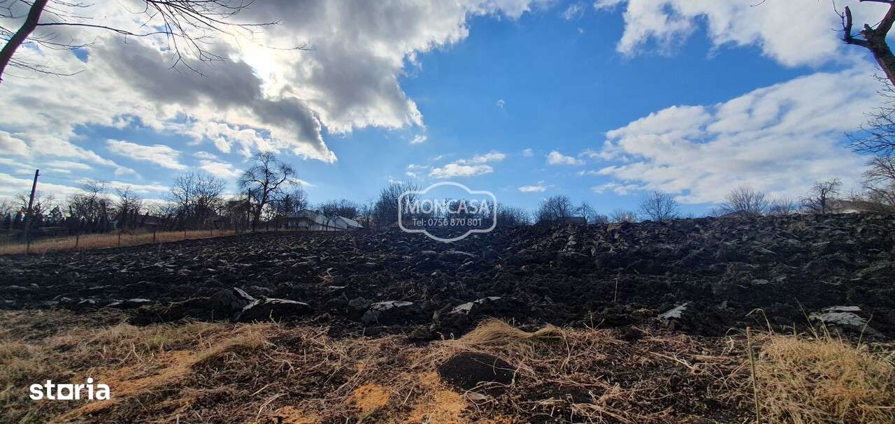 Teren intravilan in Manastirea Doamnei, S- 1300 mp - Imagine principală: 5/6