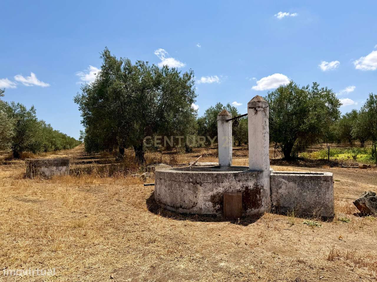 Herdade de Pandeira, Vinha e Olival em Produção em Reguengos de Monsar-29