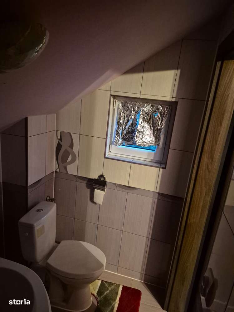 De vanzare Casa cu 3 camere si 2 parcele de teren comasate in Crai Nou-10