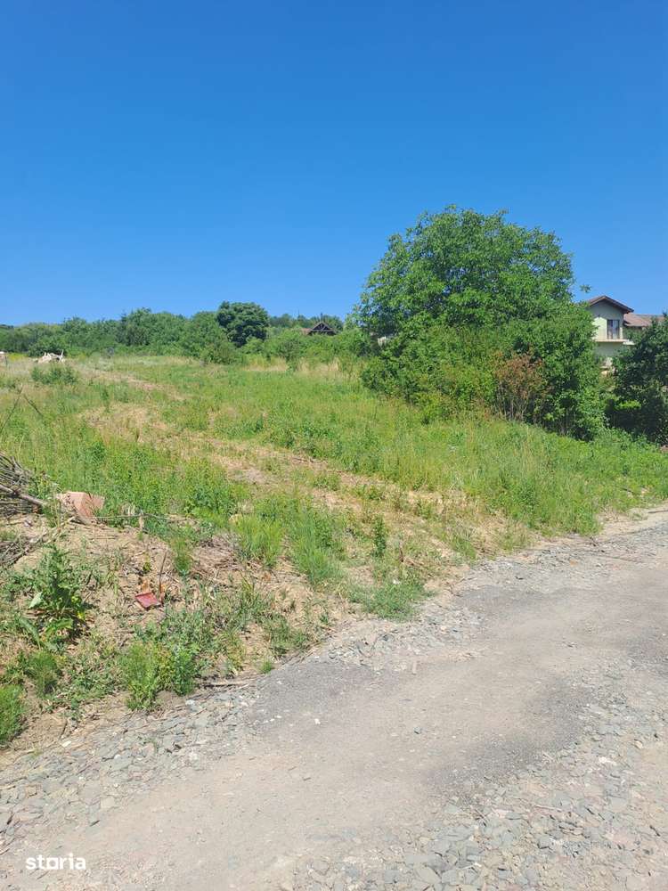 Teren intravilan 20 ari - strada Merilor - Imagine principală: 2/4