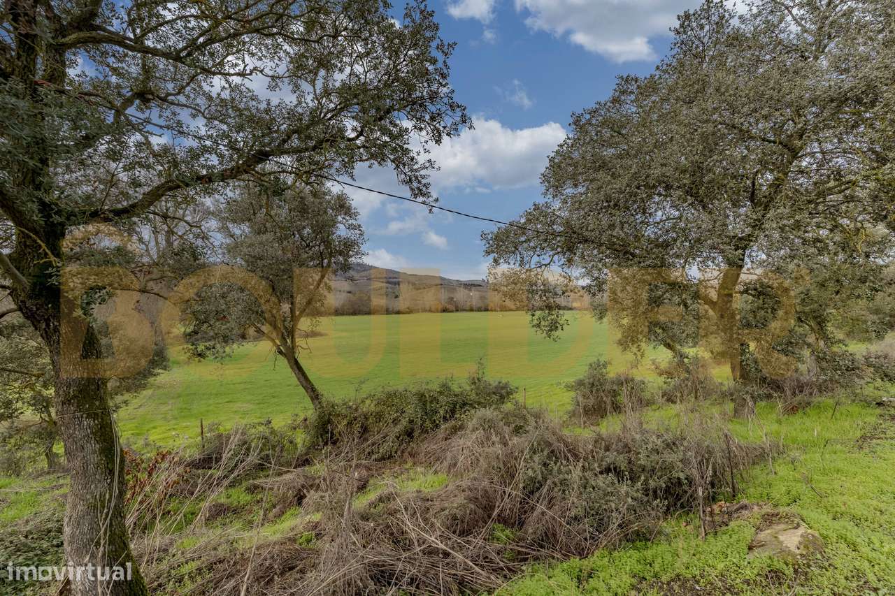 Quinta do Arieiro - Cedovim | Vila Nova de Foz Côa | Douro Superior-51