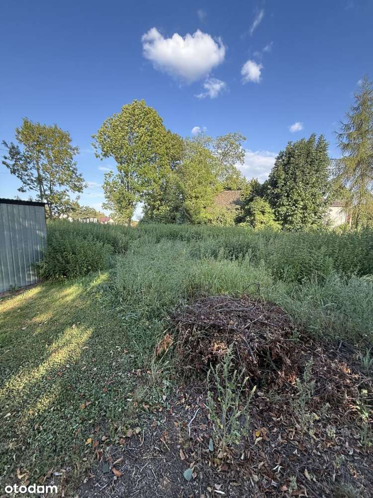 Cerekiew dom 79 m2 w zaciszu, działka 12 ar-6