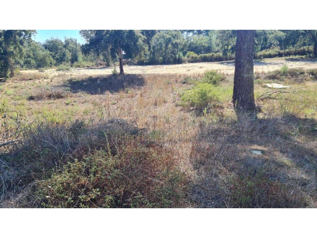 Fantástico terreno para construção de moradia em banda na Cotovia - Grande imagem: 4/7