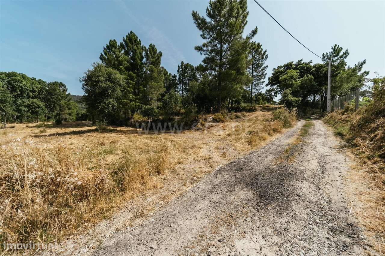 Terreno Rústico / Fundão, Vale de Prazeres e Mata da Rainha - Grande imagem: 3/20