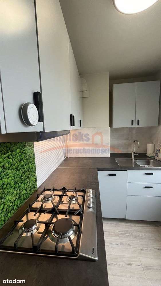 Pogodno - 2 pokoje, balkon -po kapitalnym remoncie-4