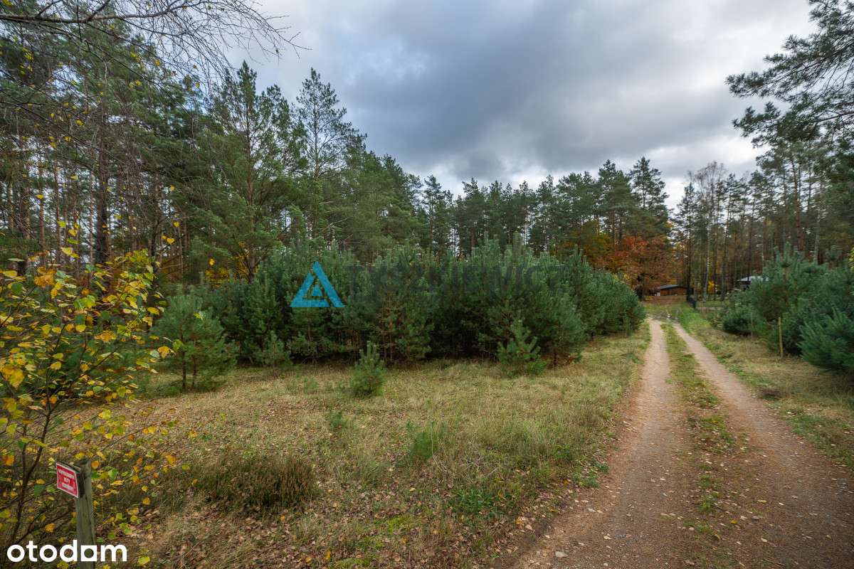 Wyjątkowa oferta - działka rekreacyjna - Pełny obrazek: 4/13