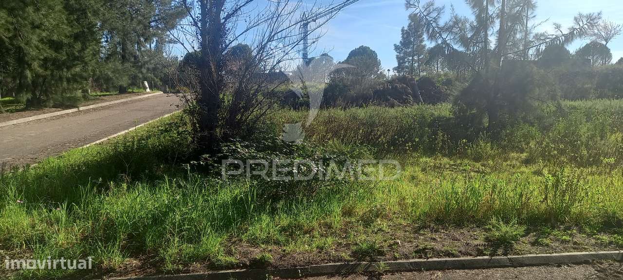 Lote de Moradia geminada. - Grande imagem: 3/5