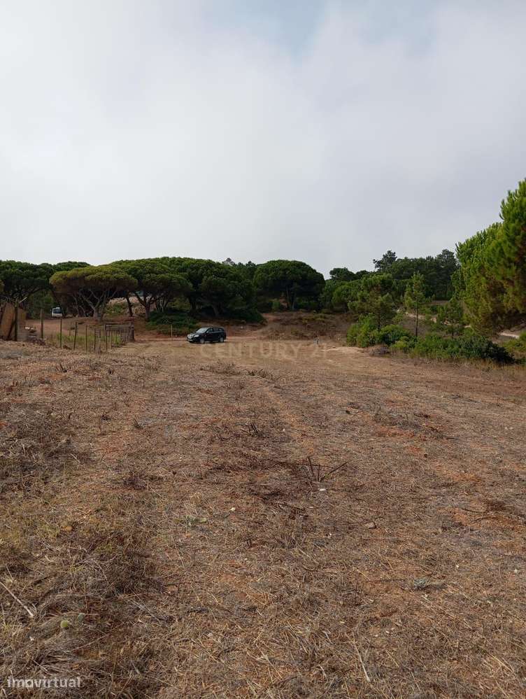 Terreno com área de 10.000m2 com projeto aprovado perto da Aldeia do M-12