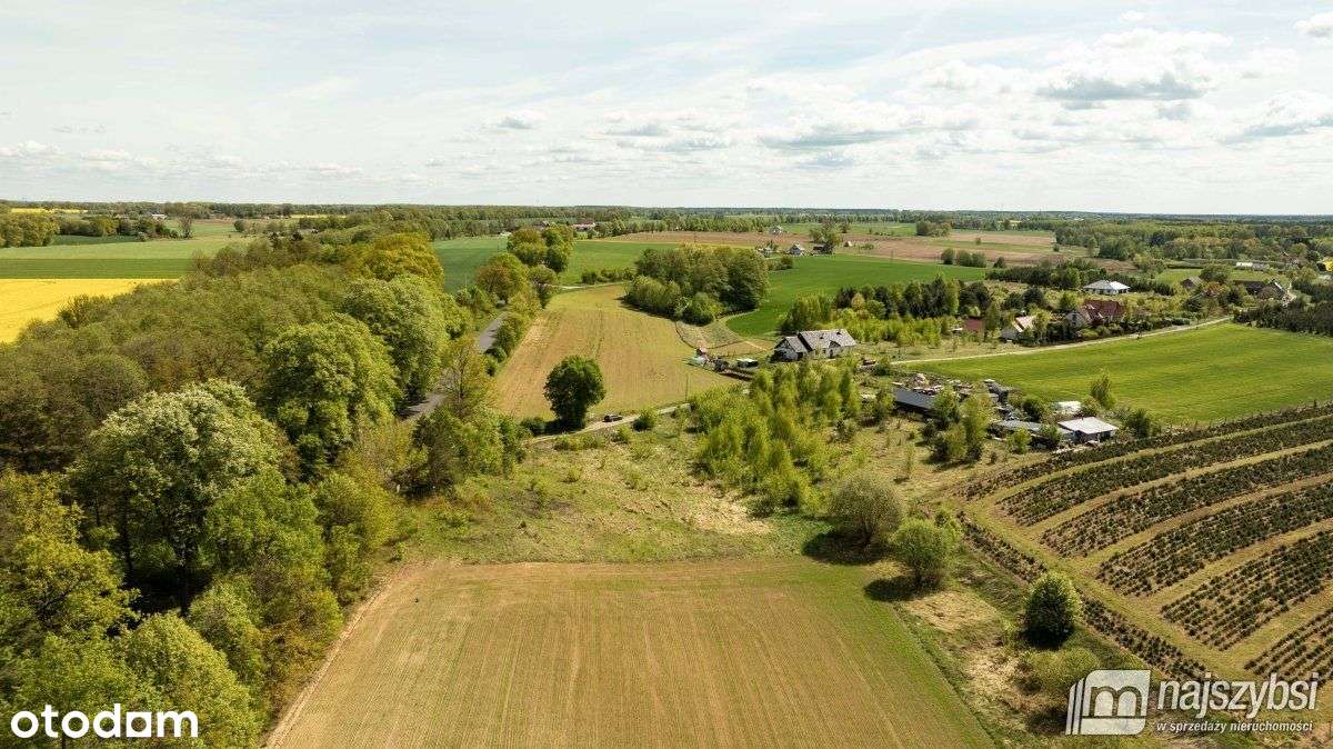 Tarnowiec - duża działka 4225m2 z warunkami - Pełny obrazek: 5/12