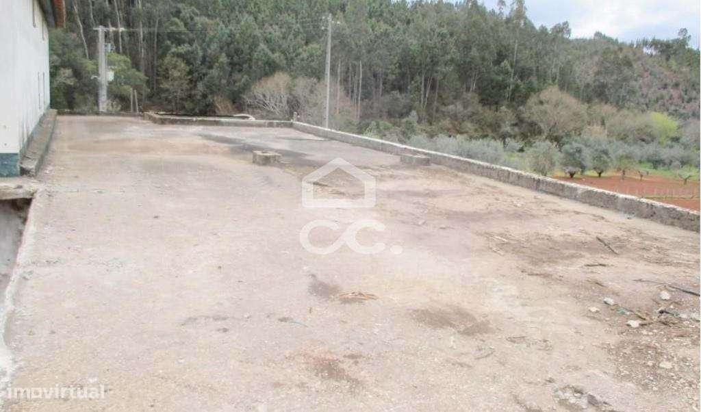 Armazem em Alvaiazere ( antigo lagar)-13