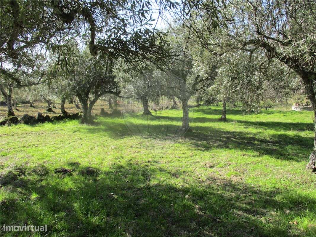 Quinta  para venda - Grande imagem: 2/24