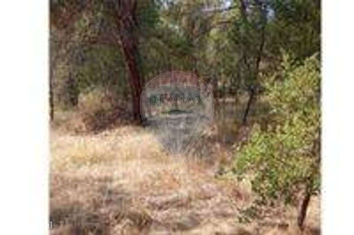 Terreno  para venda - Grande imagem: 2/6