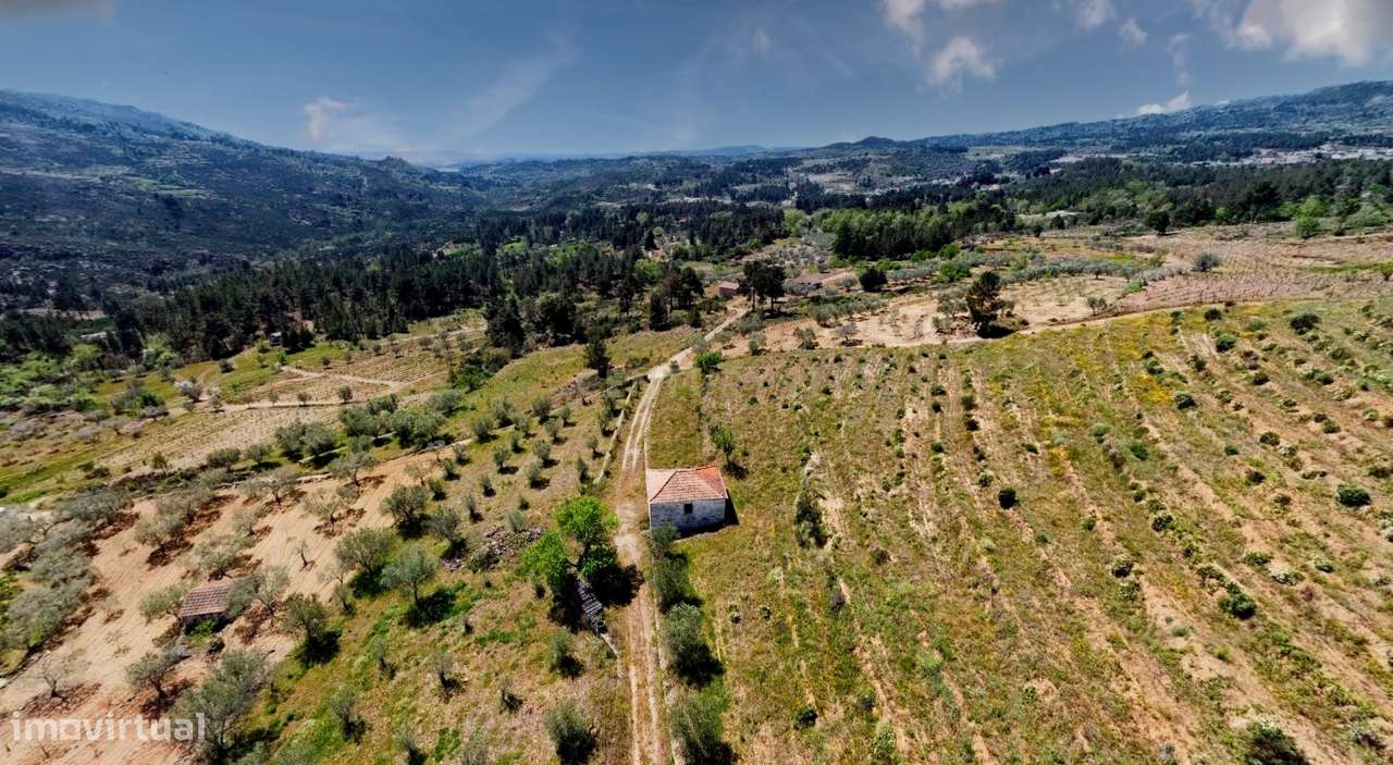 Terreno com 75230 m2 em Sendim - Tabuaço | Viseu - Grande imagem: 5/21