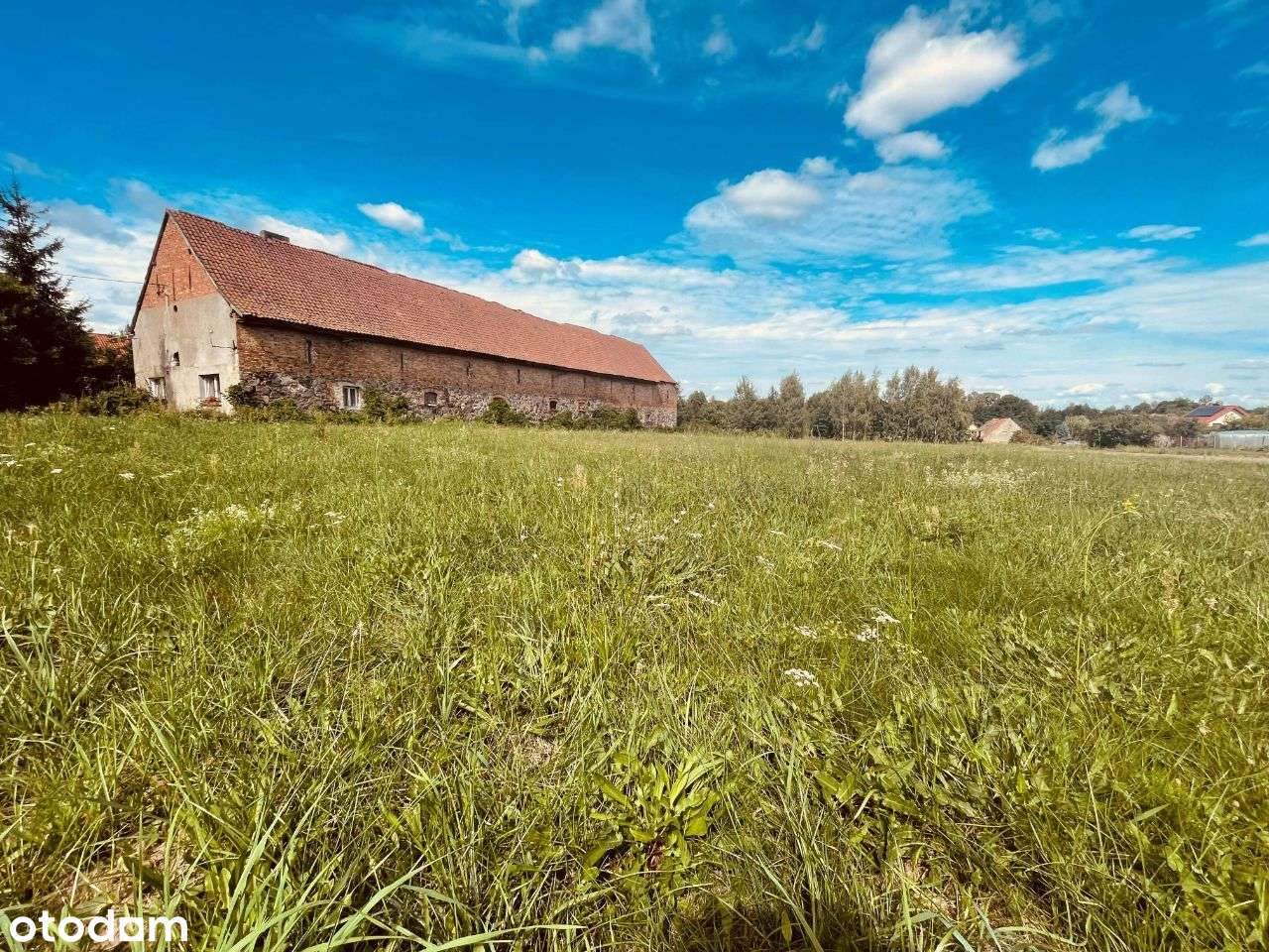 Działka budowlana Burkat/ Działdowo - Pełny obrazek: 5/13