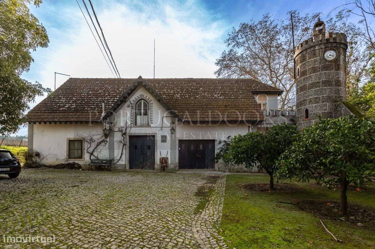 Quinta 5Ha em Azeitão-11