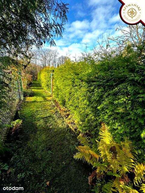 Działka rekreacyjna|Ruda Śląska | 210 mkw |-6