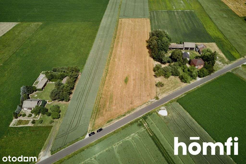 Piękna działka w pobliżu Krasnegostawu - Pełny obrazek: 5/16