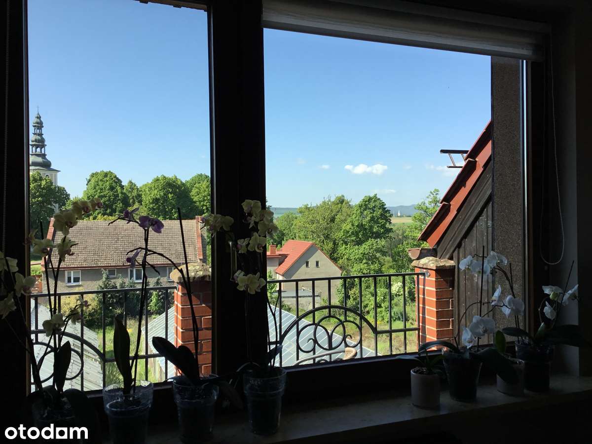 Jedyna w swoim rodzaju, osobliwa nieruchomosc. - Pełny obrazek: 4/18