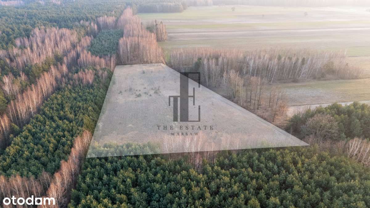 Działka na sprzedaż | Na skraju lasu | Możliwe WZ - Pełny obrazek: 4/7