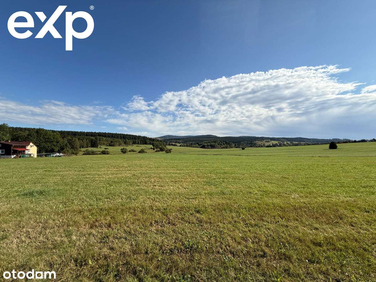 Bartnica – działka budowlana 2 900 m² z mediami i - Pełny obrazek: 4/9