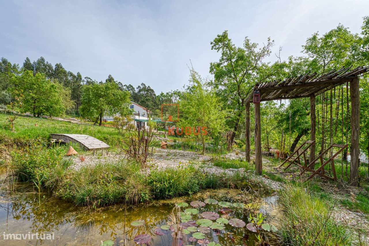 Quinta - Olival, Ourém-19