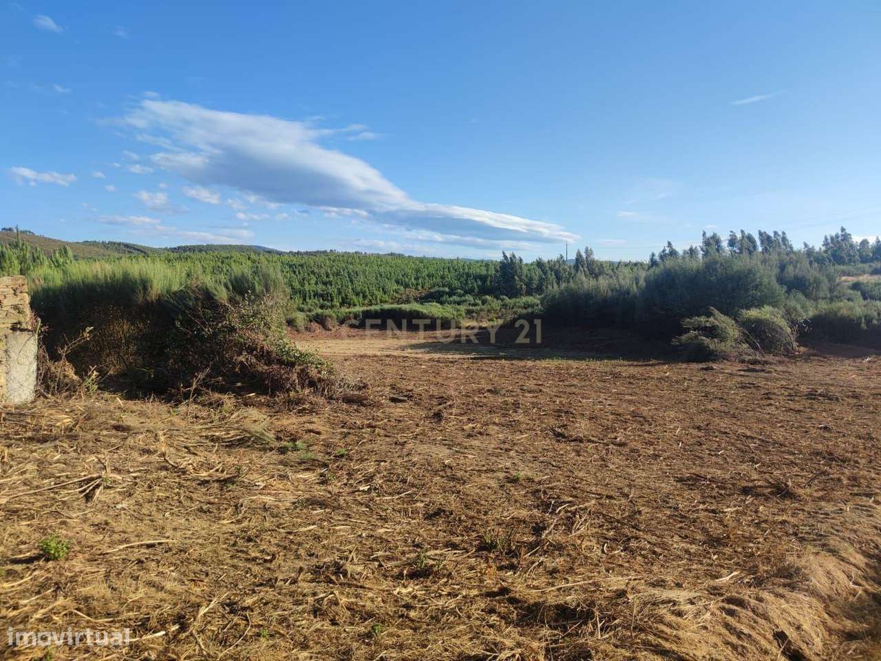 Terreno Rústico 14 000 m² em Paul - Grande imagem: 4/14