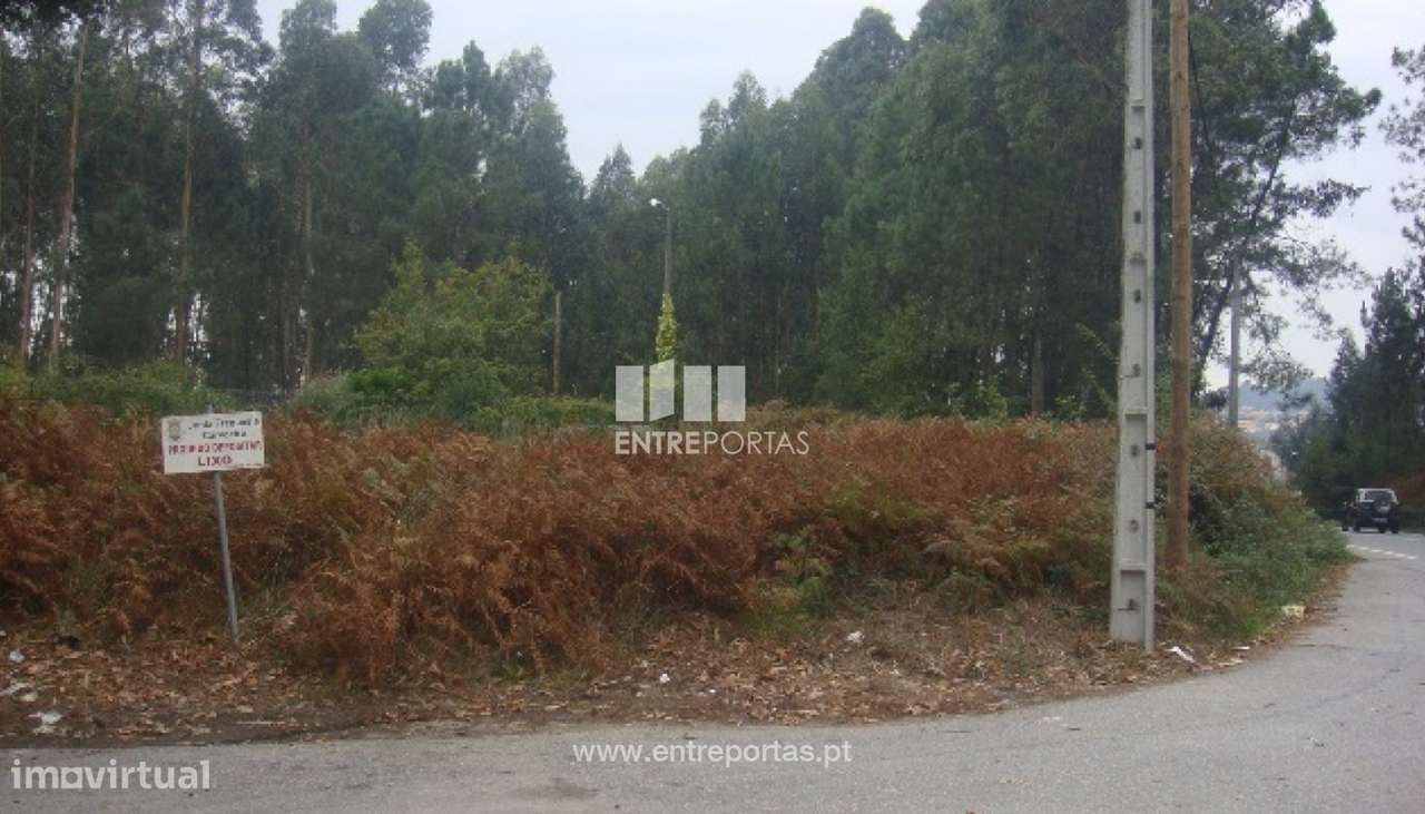 Venda de Terreno, Carvoeiro, Viana do Castelo - Grande imagem: 2/30