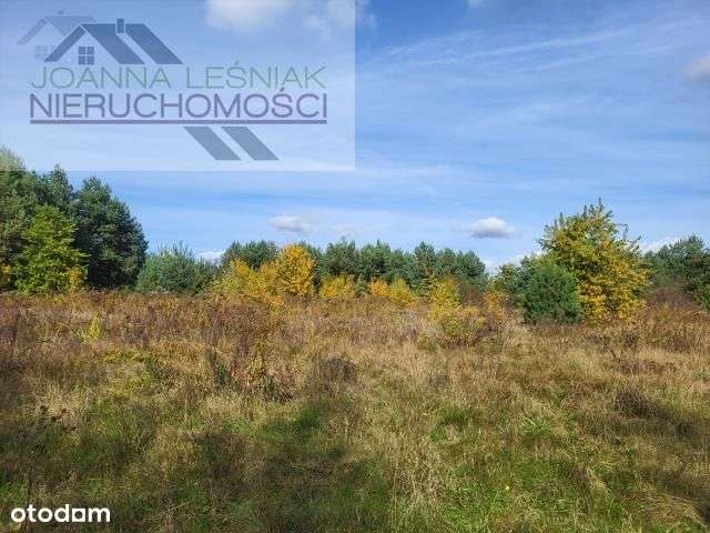 Działka, 8 080 m², Chechło - Pełny obrazek: 2/7