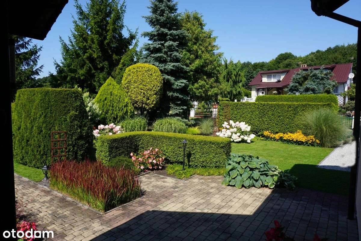 Piękna działka Rod z domkiem przy Jeziorze Rudnik - Pełny obrazek: 5/20