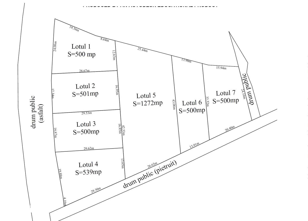 Teren intravilan 500 sau 1000 mp Bran-Tohanita la dum asfaltat-12