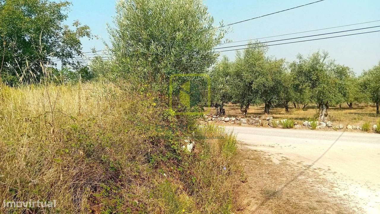 Terreno para Construção - Grande imagem: 4/21