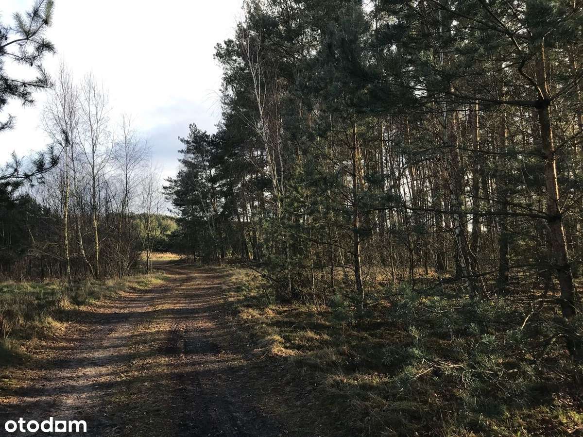 DZIAŁKI Mąkoszyce 4 x 1000 m2 - 59 zł/m2-4