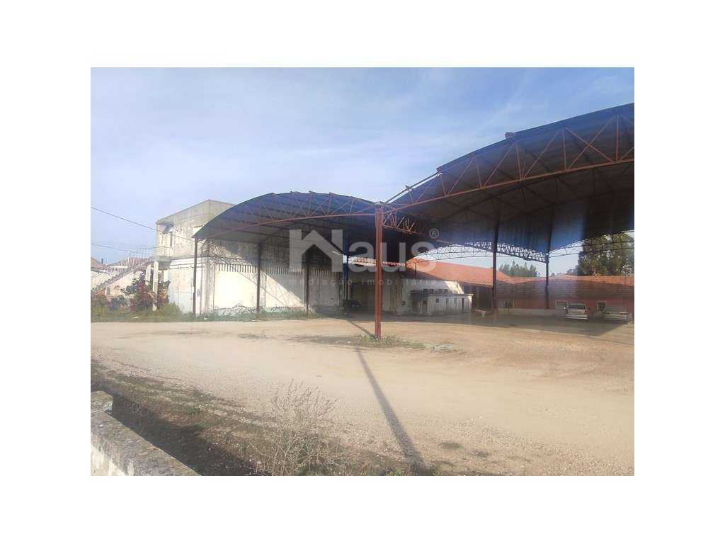 Armazém em Pegões - Lote de 2800m2 - Grande imagem: 4/21