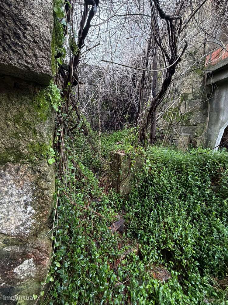 Casa Antiga / Ruína para Restaurar-20