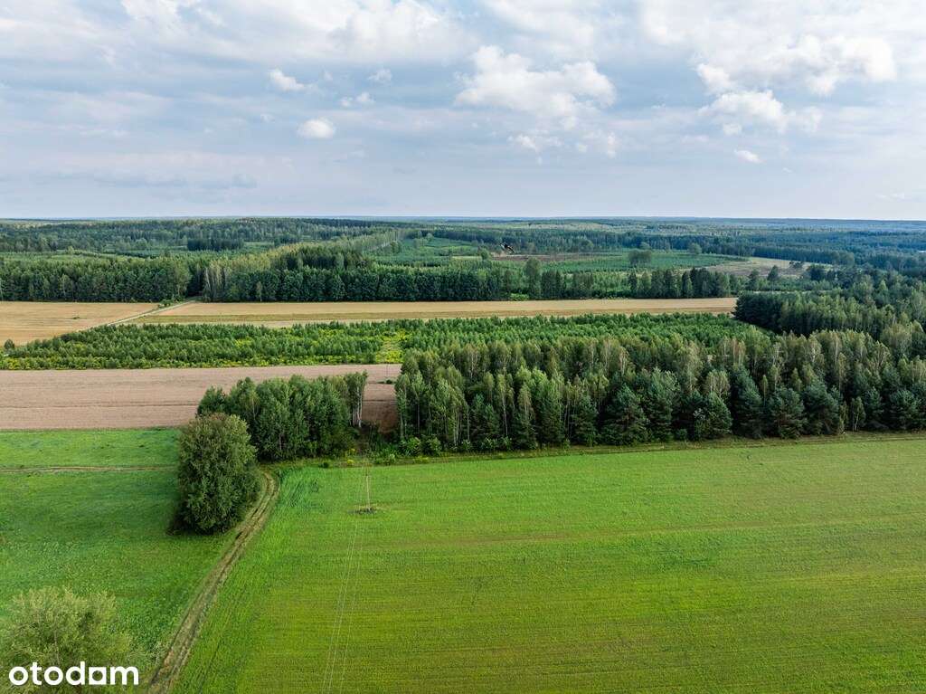 Działka w okolicy Krynek, Ostrów Południowy-4