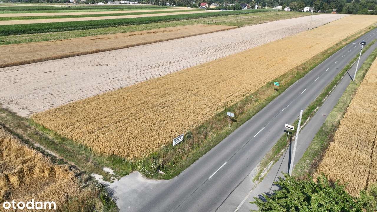 Działki budowlane Kucharki - Pełny obrazek: 4/5