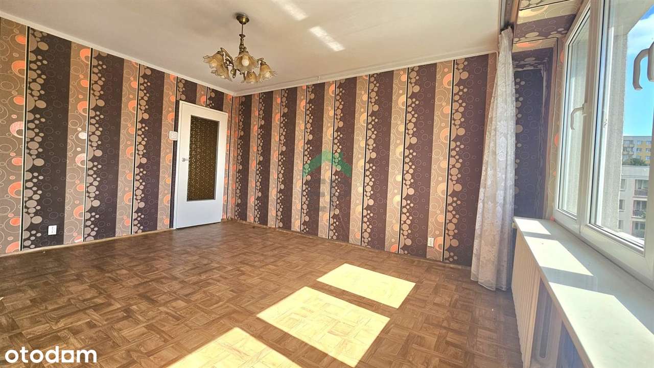 Cztery pokoje na Północy - Pełny obrazek: 2/16