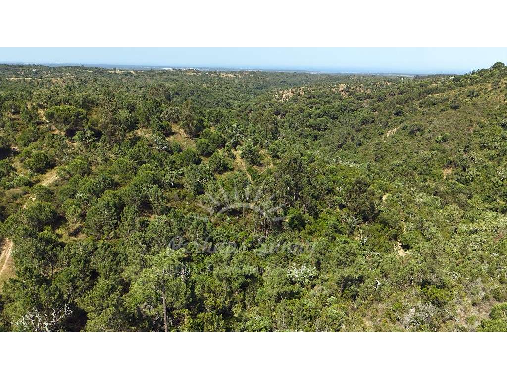 Terreno Misto para construção de Habitação ou Turismo - Melides-18