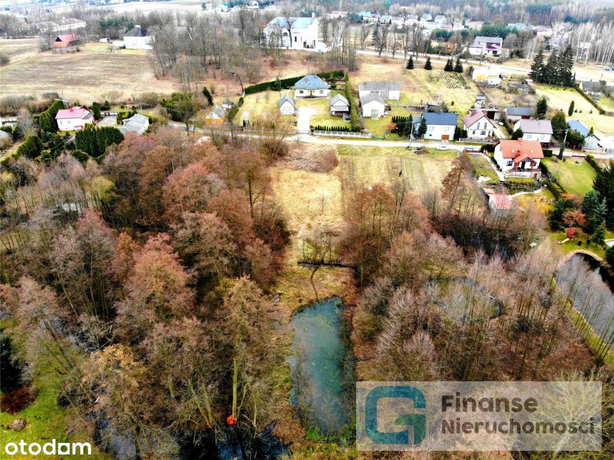 Działka ze stawem w Babsku, 2400 m2 - Pełny obrazek: 4/11