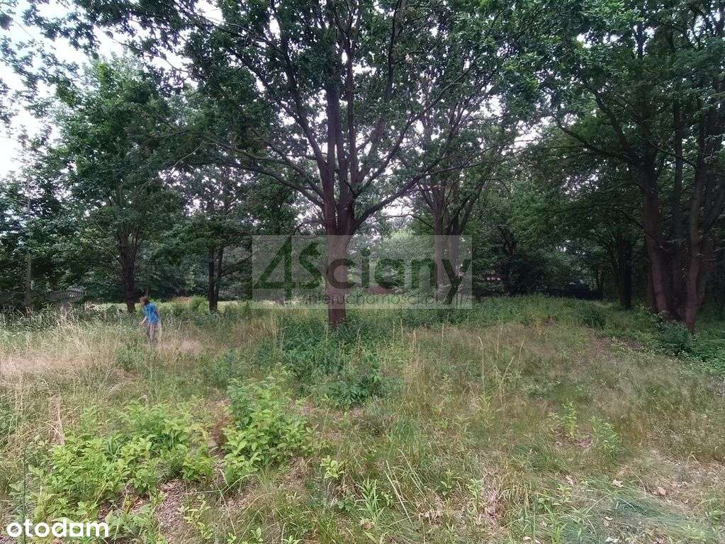 Idealnie cicha, piekna działka w Józefowie! - Pełny obrazek: 2/7