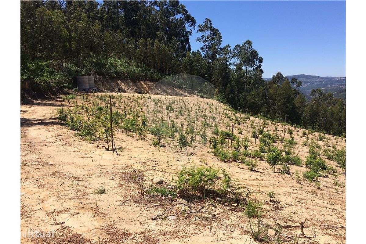 Terreno  para venda - Grande imagem: 4/20