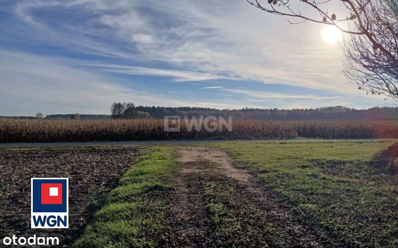 Siedlisko z potencjałem na dużej działce.-8