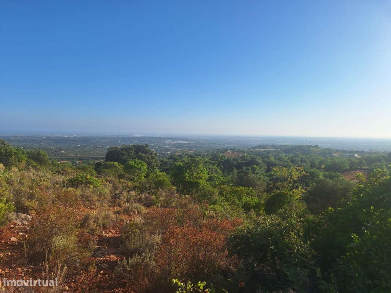 Terreno Rústico a 10km de Estoi-0