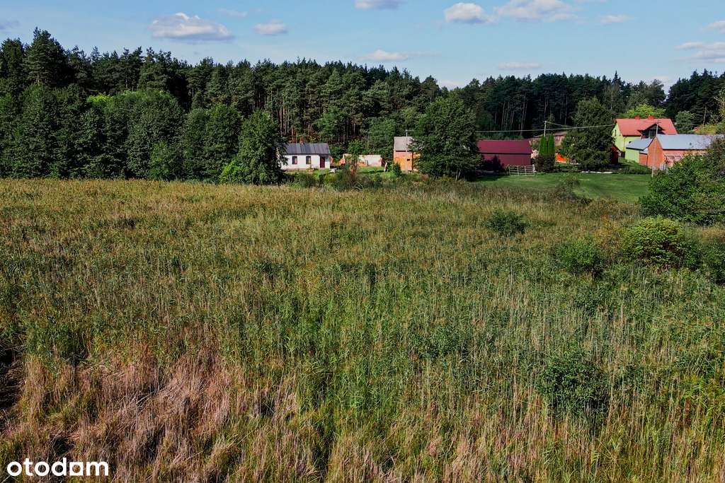 ✅ Sprawdź >>> Działka rekreacyjna (las) - 1602m2 ✅ - Pełny obrazek: 5/6