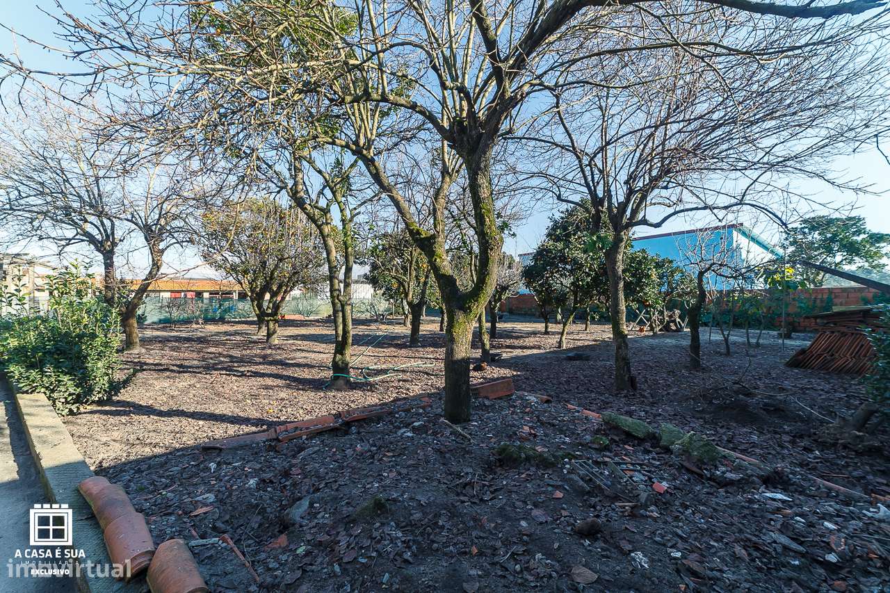 Terreno Rústico com Viabilidade de Construção  em Pardilhó - Exclusivo-18