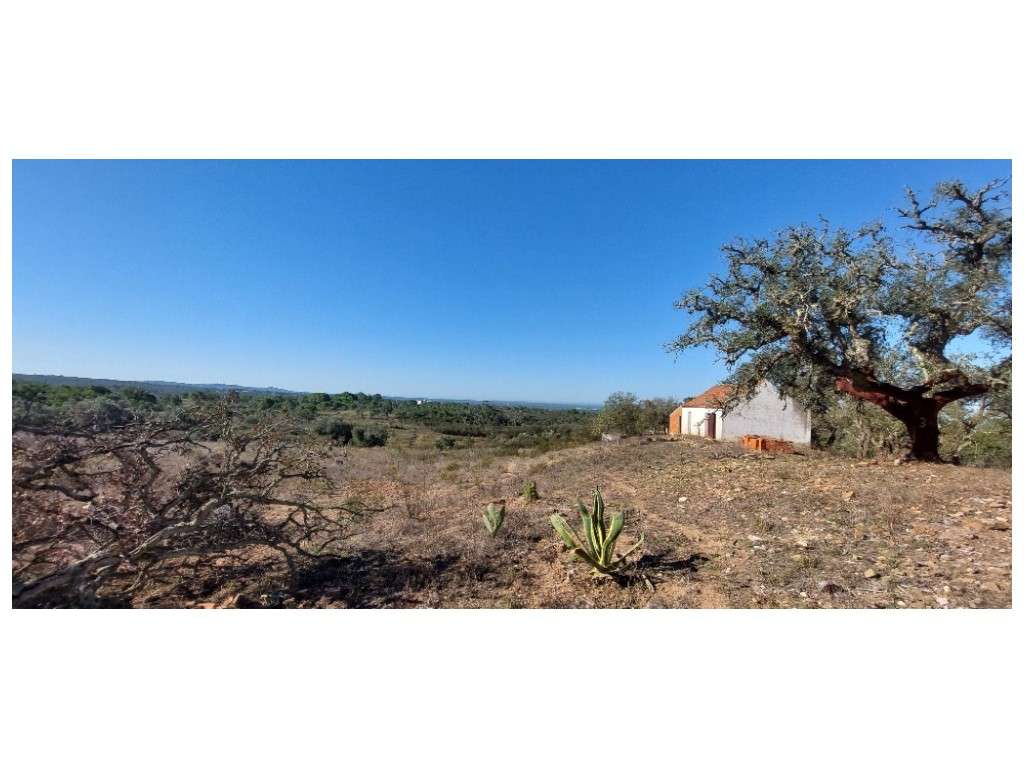 QUINTA, vista mar (5.575ha)-6