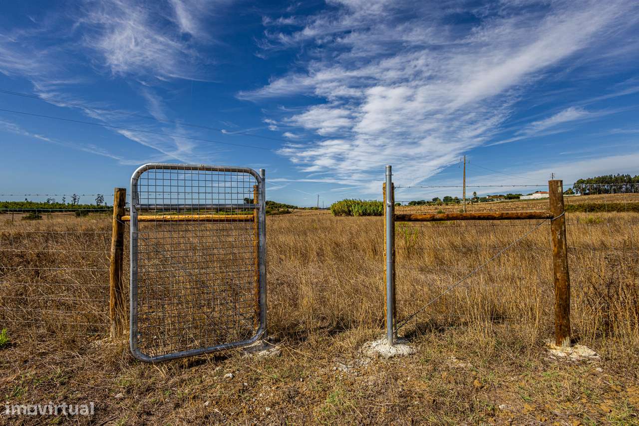 Excelente propriedade com área total de 13 680m2, localizada na Ereira-18