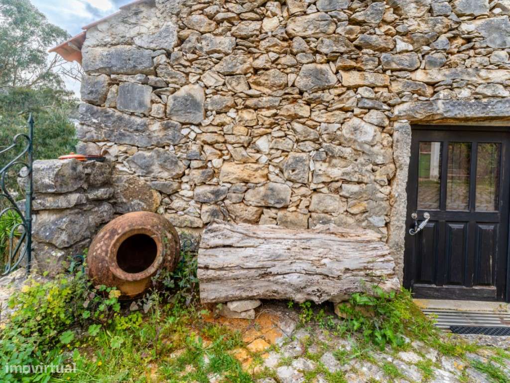 Moradia única inserida em lote de terreno junto à nascente do Rio A... - Grande imagem: 5/36