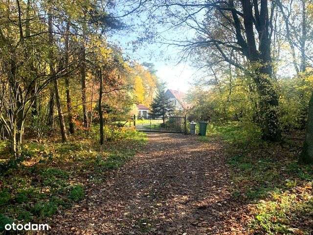 Piękny dom w lesie.., Dabcze-15